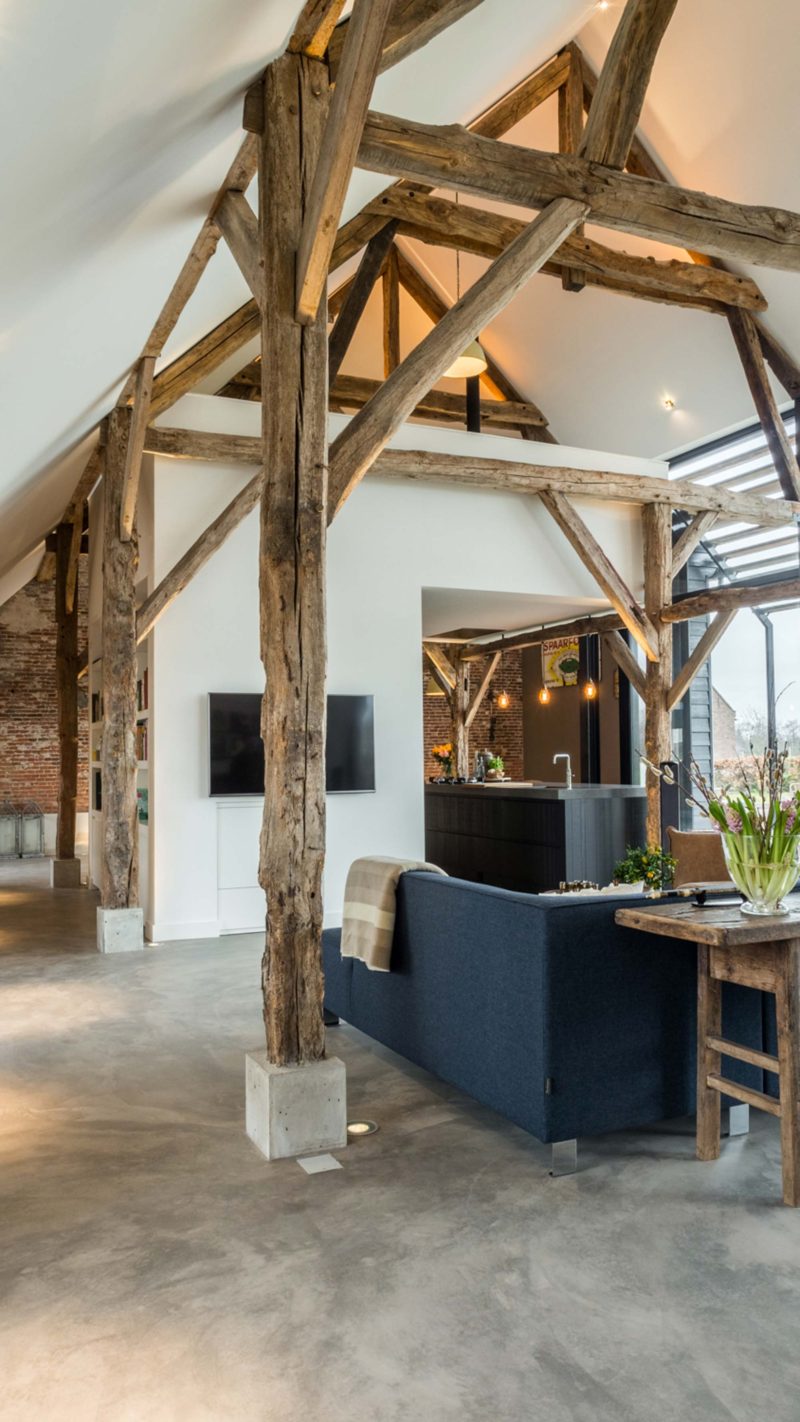 Loft avec charpente en bois